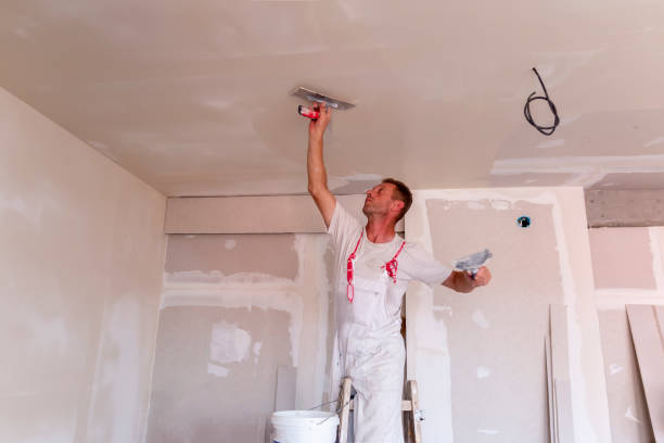 Best Drywall Sanding and Smoothing  in Carencro, LA